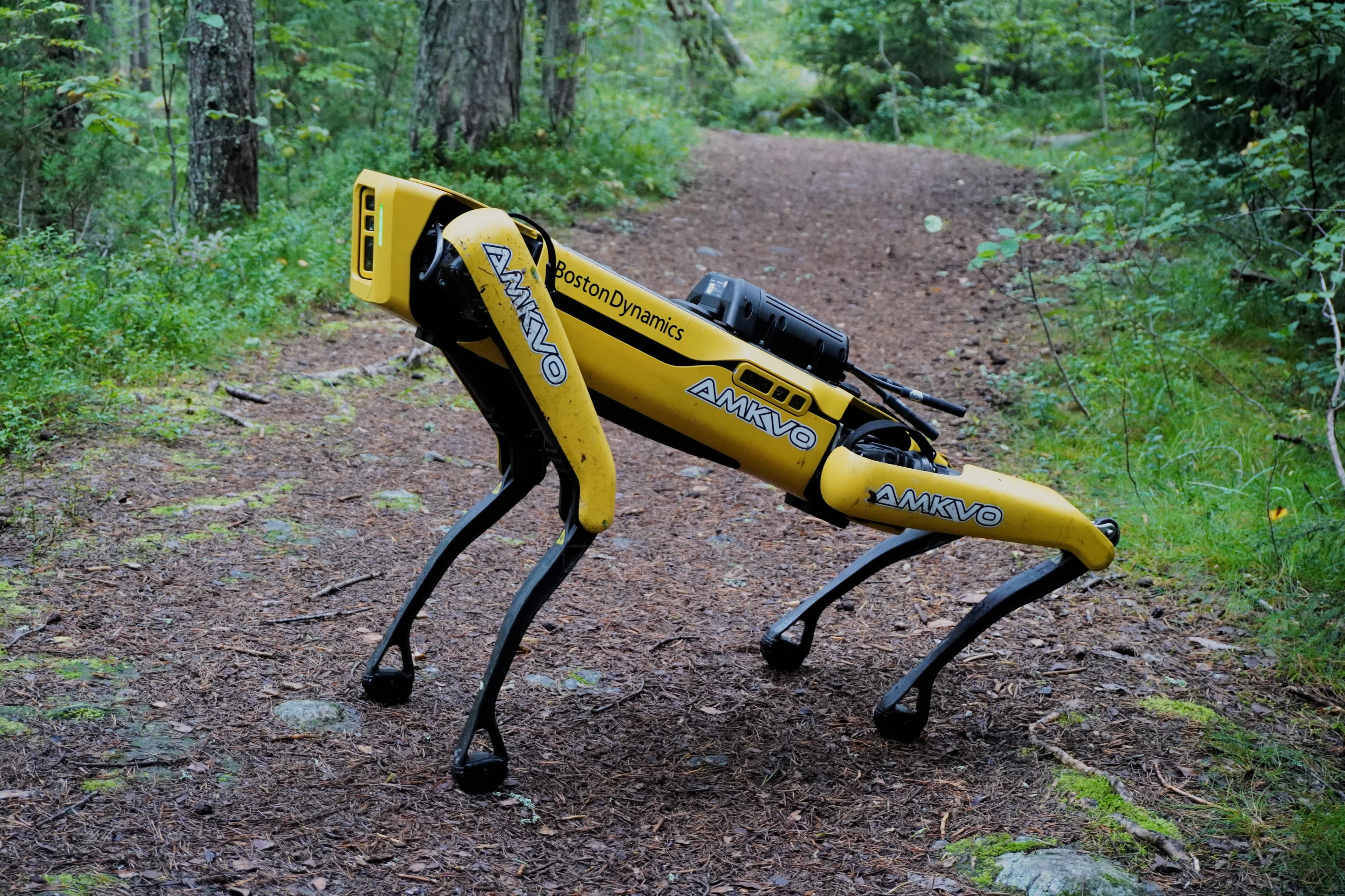 Robô Spot da Boston Dynamics em trilha arborizada