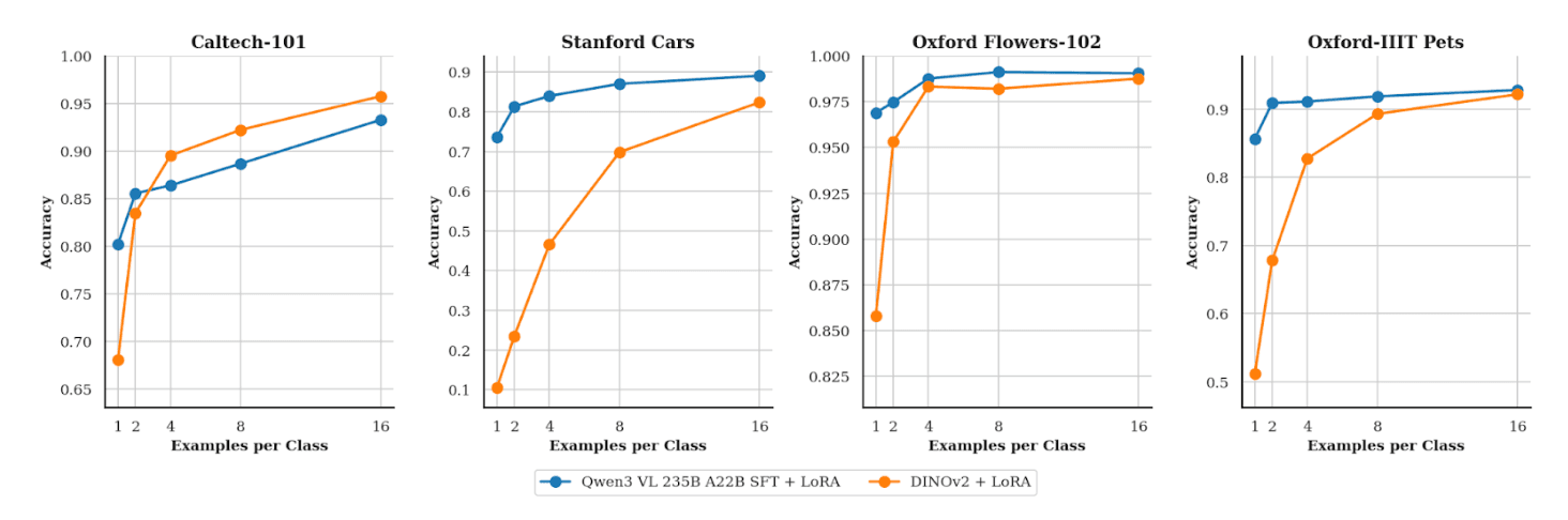 Comparação de acurácia entre Qwen3-VL e DINOv2 em tarefas de classificação de imagem