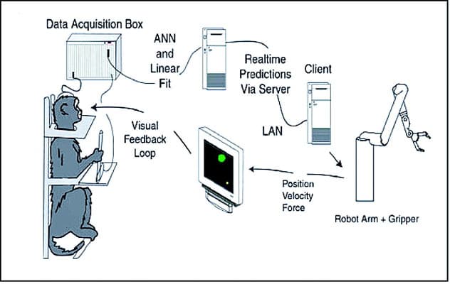 Diagrama de um sistema de interface cérebro computador com aquisição e controle