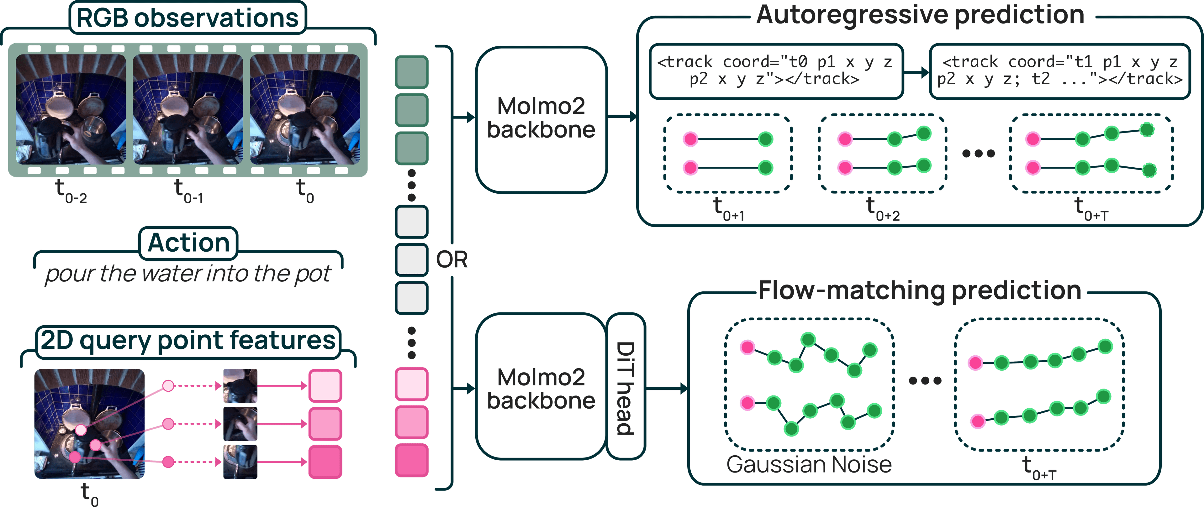 Diagrama da arquitetura MolmoMotion com variantes AR e FM