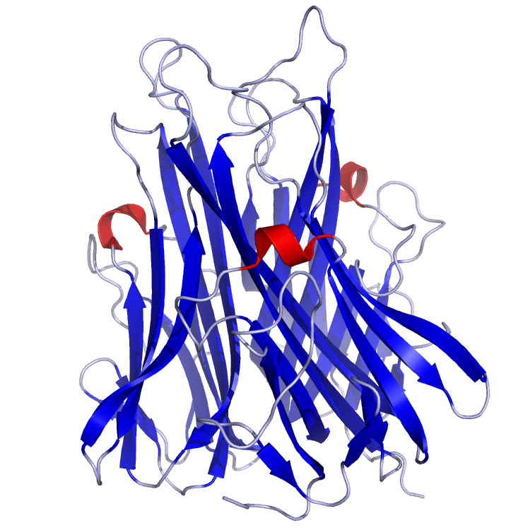 Estrutura cristalina do TNF alfa renderizada em Pymol
