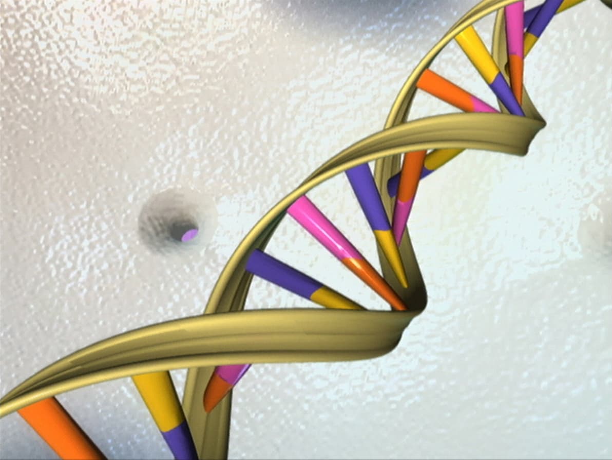Detalhe de uma dupla hélice de DNA em close, com fitas coloridas