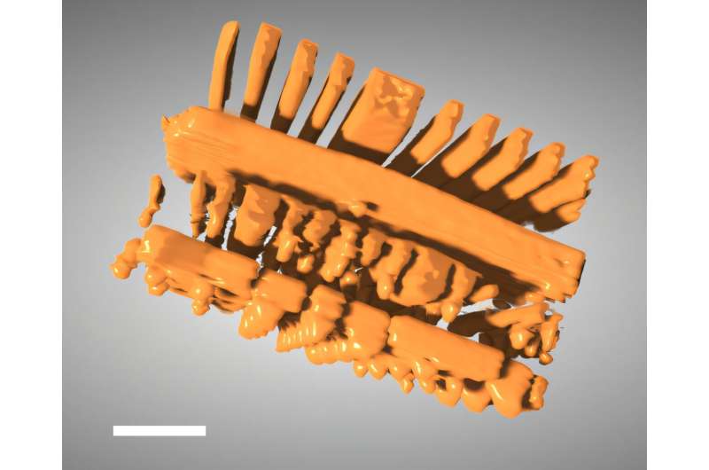 Reconstrução 3D de circuito integrado aprimorada por IA no NSLS-II